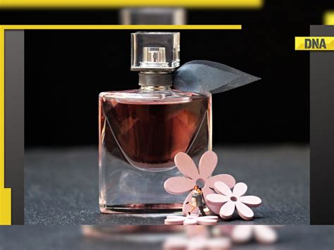 fake perfume urine|how dangerous are fake perfumes.